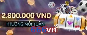 666vn